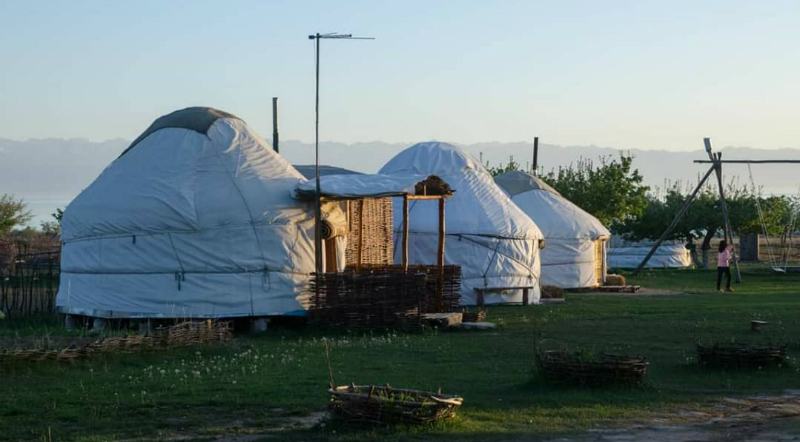 Almaluu Yurt Camp